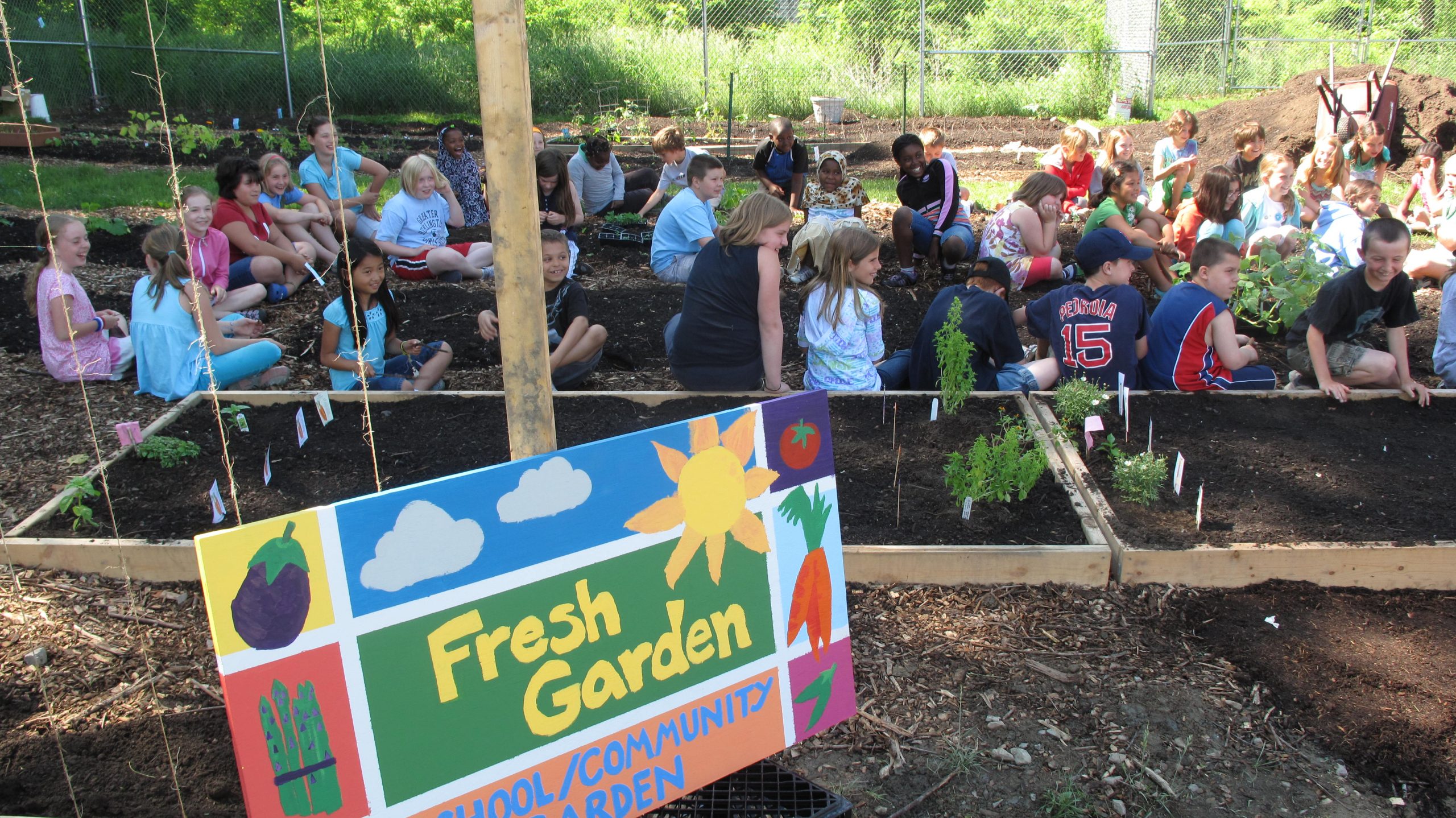 Read more about the article School Gardens Program